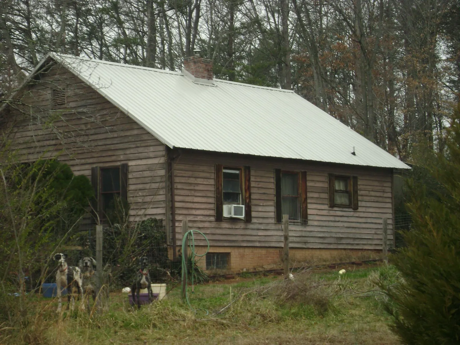 White metal roof on an old wood sided farmhouse, from a Asphalt Shingle Roof Repair job in Anamosa